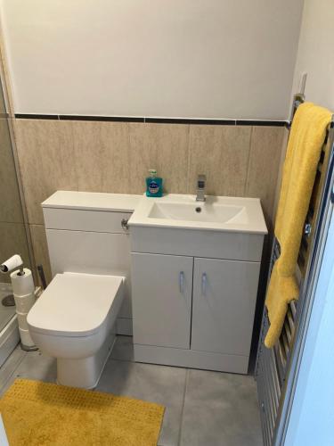 史云顿Raglans的浴室配有白色卫生间和盥洗盆。