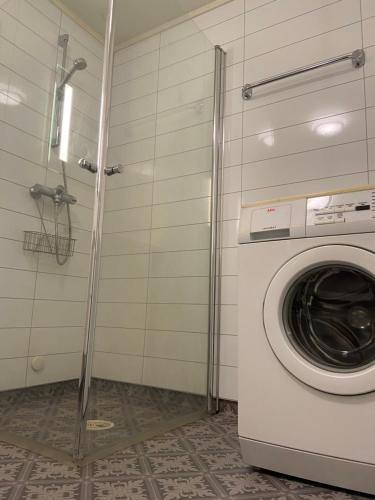 巴尔斯塔Lofoten Overnatting - Ballstad的带淋浴的浴室内的洗衣机