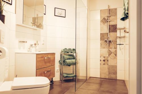 SchwanewedeFEWO Leuchtturmidyll Harriersand的带淋浴、卫生间和盥洗盆的浴室