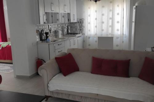 迪迪姆Denizli Öğretmenler Sitesi的客厅配有白色沙发和红色枕头。