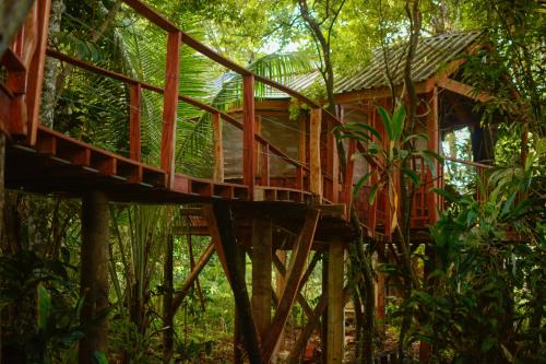 MakaungaTukulolo Treehouses的森林中的一个树屋