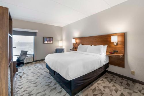 哈里森堡Best Western Plus Harrisonburg的酒店客房设有一张大床和一张书桌。