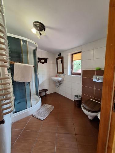 鲁恰内尼达GOŚCINIEC GŁODOWO的带淋浴、卫生间和盥洗盆的浴室