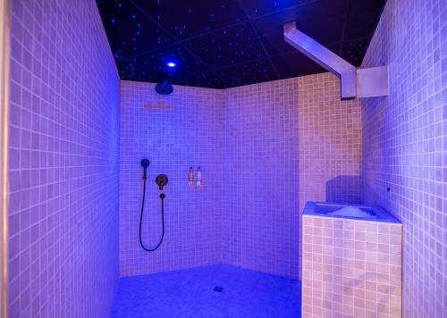 弗农诺曼底酒店的粉红色的浴室设有紫色灯淋浴
