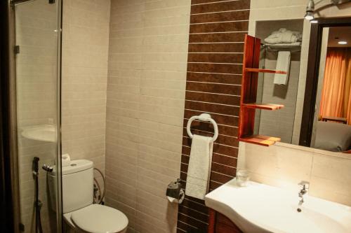 梅克内斯贝勒维Spa酒店的一间带卫生间和水槽的浴室