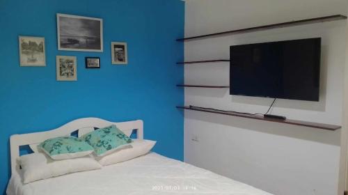 爱妮岛LALUNA COTTAGES的一间卧室配有一张床铺,墙上挂着电视