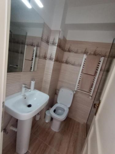 穆里吉奥尔Pestele Ca Odinioară的浴室配有白色水槽和卫生间。