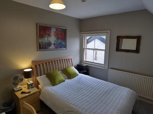雷丁Amherst Guesthouse的一间卧室配有一张带绿色枕头的床和一扇窗户