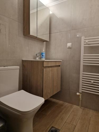 塞萨洛尼基SKG City Loft的浴室配有卫生间、盥洗盆和淋浴。
