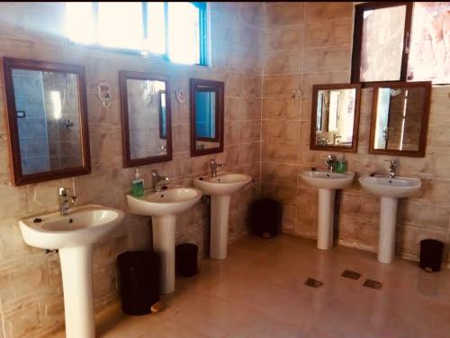 瓦迪拉姆Wadi rum Rozana camp的浴室设有3个水槽和墙上的镜子