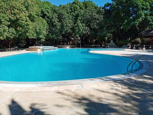 马哈赞加SUNNY HOTEL MAHAJANGA的一个种有树木的大型蓝色游泳池