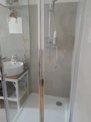 布拉格Bright & Cosy Room with Own Shower and Kitchenette的带淋浴和盥洗盆的浴室