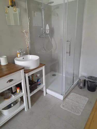 布拉格Bright & Cosy Room with Own Shower and Kitchenette的带淋浴和盥洗盆的白色浴室