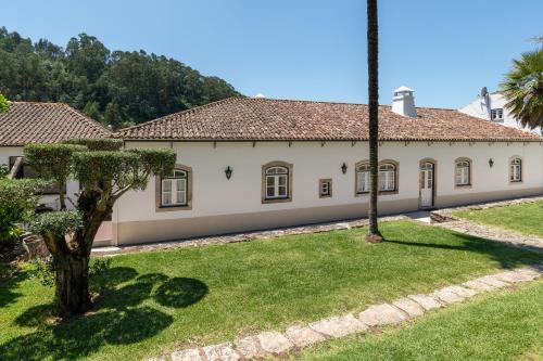 Quinta do Calvário的院子里有棕榈树的老房子