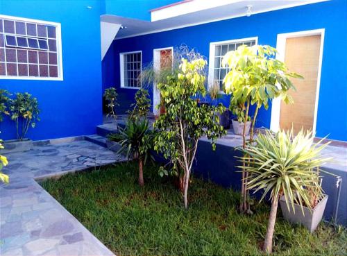 阿雷基帕COLONIAL SAN LAZARO的前面有树木的蓝色房子