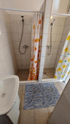 陶波尔曹Malom-tavi vendeghaz的带淋浴、卫生间和盥洗盆的浴室