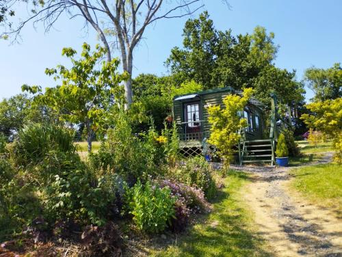 Hadlow DownPeaceful ensuite lakeside cabin 'Tench'的花卉园里的一个小房子