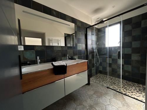 拉罗谢尔Les Jardins des Brandes的一间带水槽和淋浴的浴室