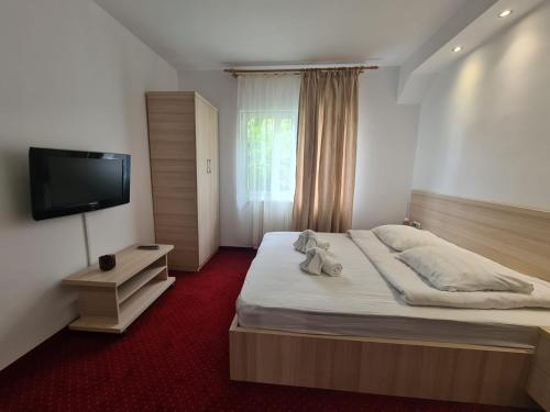 普雷代亚尔Vila Vitalis的一间卧室配有一张大床和一台平面电视
