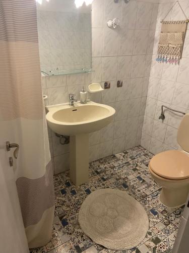 圣斯特凡诺斯Floros Apartments的一间带水槽和卫生间的浴室