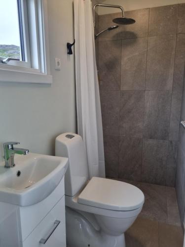 Hvammur 6 with private hot tub的浴室配有卫生间、盥洗盆和淋浴。