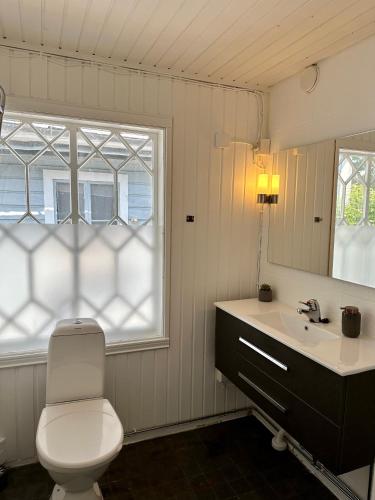 纳坦利Kapteeninmökki的一间带卫生间、水槽和镜子的浴室