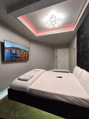 利默里克Lucid Magic Dream的一间卧室设有一张大床,天花板上装饰有绘画作品
