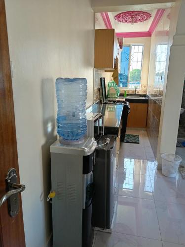 蒙巴萨ROYAL APARTMENT MAKUPA的一间厨房,上面有塑料袋,上面有垃圾桶