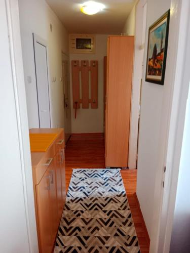 皮罗特Apartman Dragana的一间客房,厨房在地板上铺着地毯