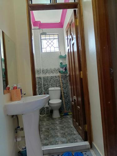 蒙巴萨ROYAL APARTMENT MAKUPA的一间带卫生间和水槽的小浴室