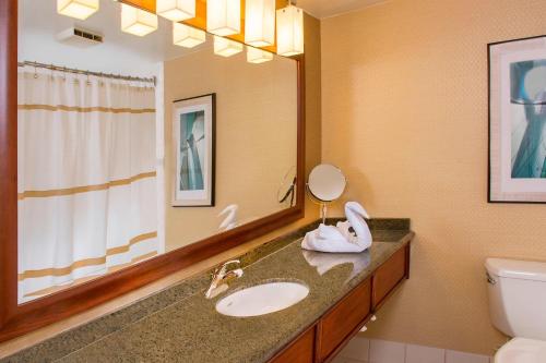林夕昆高地BWI机场万豪酒店的一间带水槽和镜子的浴室