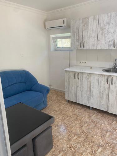 高尼奥Maguli Home Gonio的一间带蓝色沙发的客厅和一间厨房