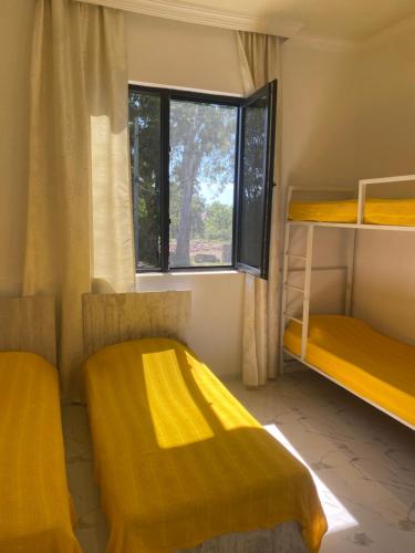 高尼奥Maguli Home Gonio的客房设有两张双层床和一扇窗户。