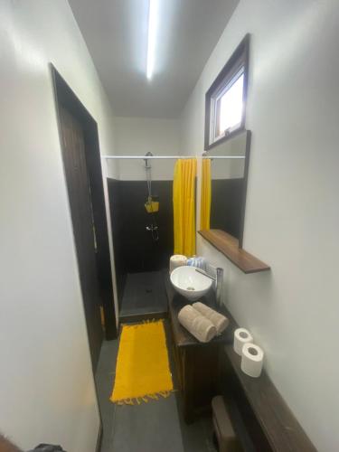 法勒BEE LOCAL LABHOUSE的一间带水槽和镜子的小浴室