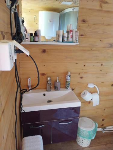 MutaGlamping hišice Orlič的一间带水槽和镜子的浴室