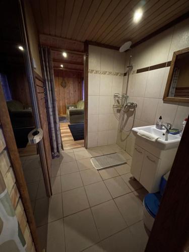 拉兹迪亚伊Gintaro pirtelė的带淋浴和盥洗盆的浴室