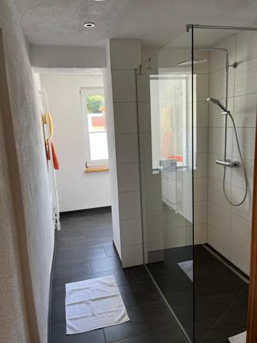 陶普利茨Appartements-Restaurant Schwaiger的带淋浴的浴室和玻璃门