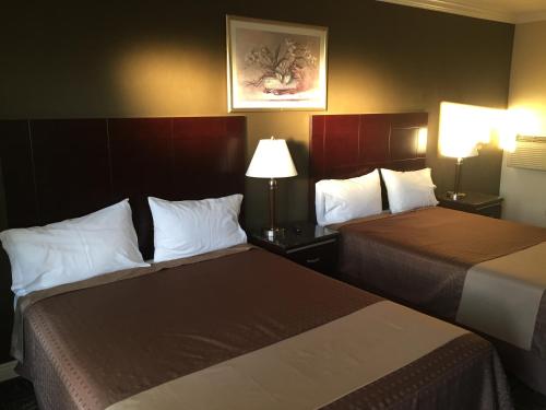 雷东多海滩海滨汽车旅馆的配有2盏灯的酒店客房的2张床