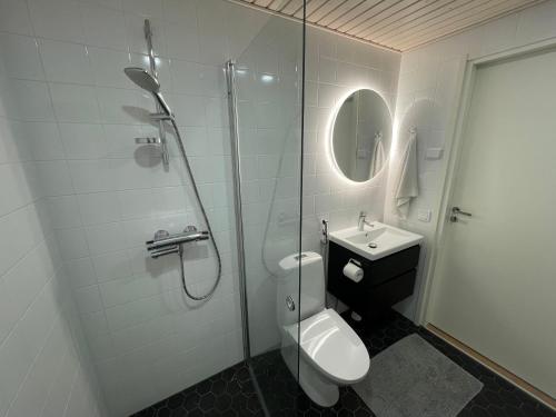 赫尔辛基Casa Onni的带淋浴、卫生间和盥洗盆的浴室