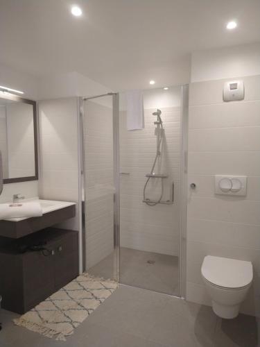 弗农CAZAM VERNON-GIVERNY的带淋浴、卫生间和盥洗盆的浴室