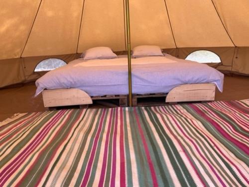 代因泽't Schaaphof Tent en Ontbijt的铺着条纹地毯的帐篷内的一张床位