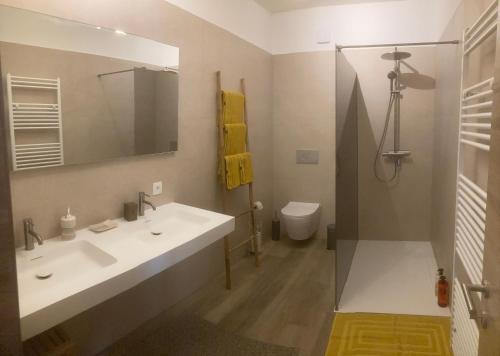 迪南Les Terrasses de Sax的浴室配有白色水槽和卫生间。