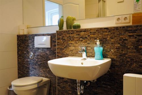 沃尔夫斯堡Charmantes Apartment in Top Lage的一间带水槽、卫生间和镜子的浴室