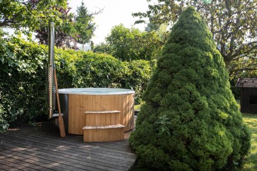 卡瓦雷诺Piccolo Orso Bruno的大型松树旁边的热水浴池