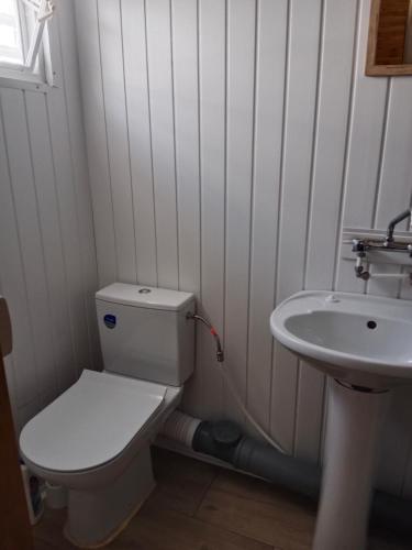 卡尔维亚Agroturystyka u Edwarda的一间带卫生间和水槽的浴室