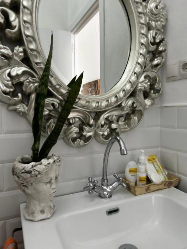 阿尔么丽亚Doña Josefina y Don Simón的浴室水槽,上面有镜子和植物
