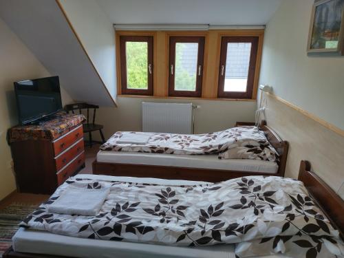 杜瑙森特米克洛什Bike Stop Duna的一间卧室设有两张床、一台电视和窗户。