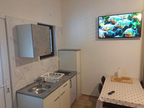 卡尔卢巴格Guest House Keskic的一个带水槽的厨房和墙上的电视