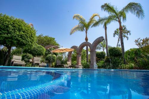 Sayula拉卡萨德洛斯天井及温泉酒店的一座棕榈树环绕的游泳池