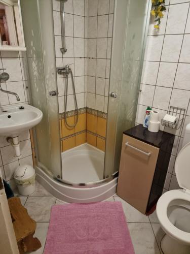 德尔内夫奥里克Mlýn u skály的带淋浴、卫生间和盥洗盆的浴室